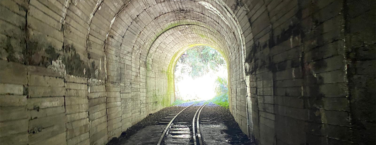 嘉義阿里山眠月線一日遊 | 消失的森林鐵道